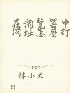 在浏览器中打开网址怎么打开