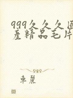 999久久久国产精品毛片