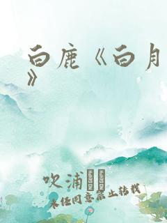 白鹿《白月梵星》