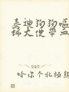 泰迪狗狗呕吐拉稀大便带血