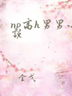 np高h男男小说