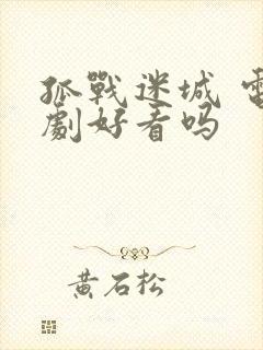 孤战迷城 电视剧好看吗