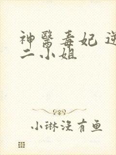 神医毒妃 逆天二小姐