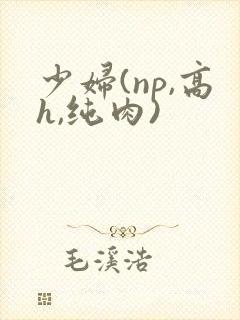 少妇(np,高h,纯肉)