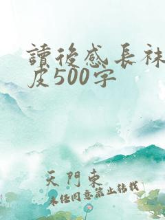 读后感长袜子皮皮500字