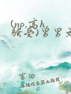 (np,高h,骚受)男男文