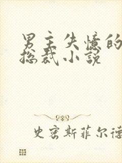 男主失忆的霸道总裁小说