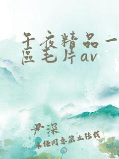 午夜精品一区二区毛片av