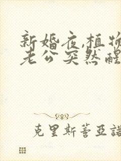 新婚夜,植物人老公突然醒了