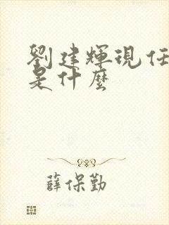 刘建辉现任职务是什么