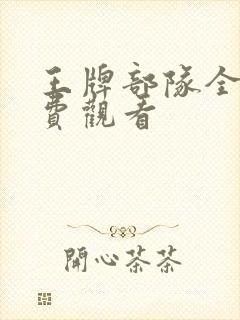 王牌部队全集免费观看