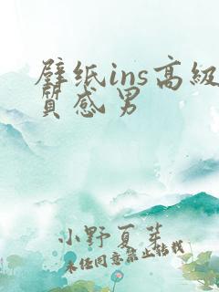 壁纸ins高级质感男