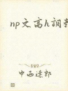 np文高h调教