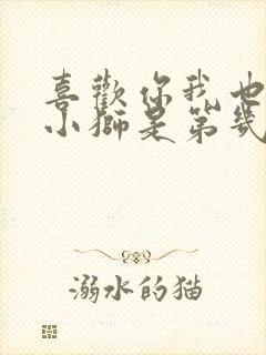 喜欢你我也是张小狮是第几季