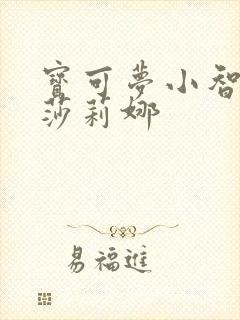 宝可梦小智狂叉莎莉娜