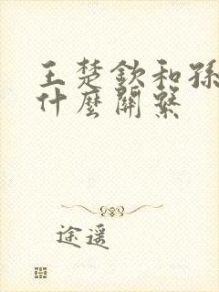 王楚钦和孙颖莎什么关系