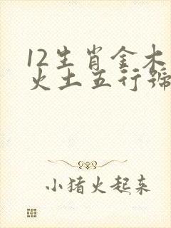 12生肖金木水火土五行号查询表