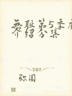 无耻第5季剧情介绍分集