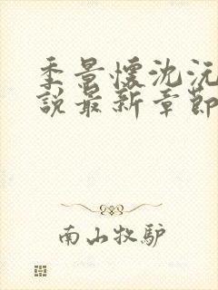 季景怀沈沅溪小说最新章节免费阅读