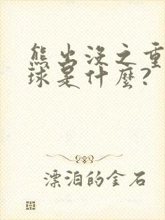 熊出没之重返地球是什么?