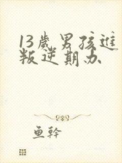 13岁男孩进入叛逆期办