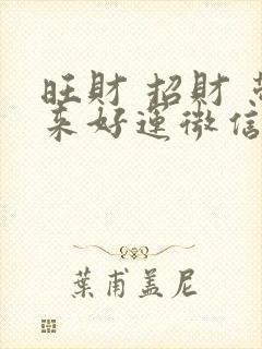 旺财 招财 带来好运微信名