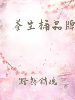 养生桶品牌排行