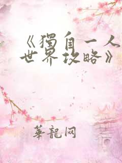 《独自一人的异世界攻略》