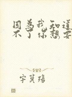 因为我知道我给不了你想要的东西歌词