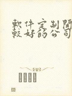 软件定制开发比较好的公司