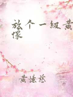 放个一级黄色录像