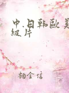 中.日韩欧美一级片