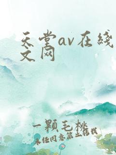 天堂av在线中文网