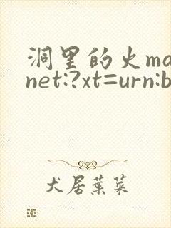 洞里的火magnet:?xt=urn:btih: