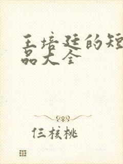 王培廷的短剧作品大全