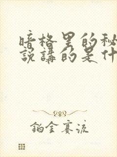 暗格里的秘密小说讲的是什么故事