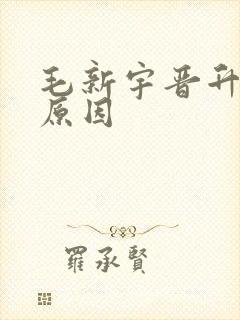 毛新宇晋升少将原因