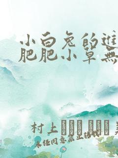 小白兔的进化史肥肥小草无防盗