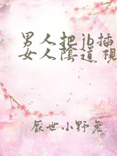 男人把jb插入女人阴道视频