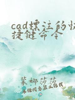 cad标注的快捷键命令