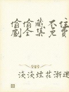 偷偷藏不住电视剧全集免费11