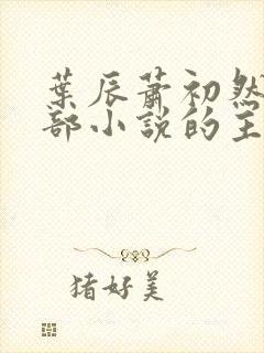 叶辰萧初然是哪部小说的主角