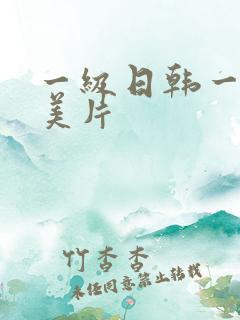 一级日韩一级欧美片