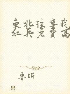 东北往事我叫赵红兵免费高清完整版在线观看