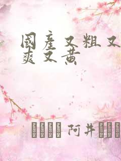 国产又粗又色又爽又黄