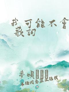 我可能不会爱你 歌词