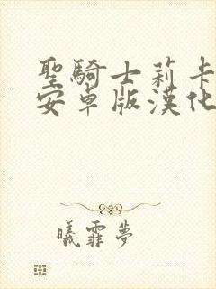 圣骑士莉卡物语安卓版汉化版安装