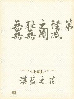 无耻之徒第一季无无删减