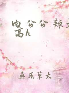 肉 公公 辣文 高h