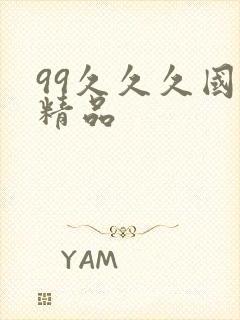 99久久久国产精品